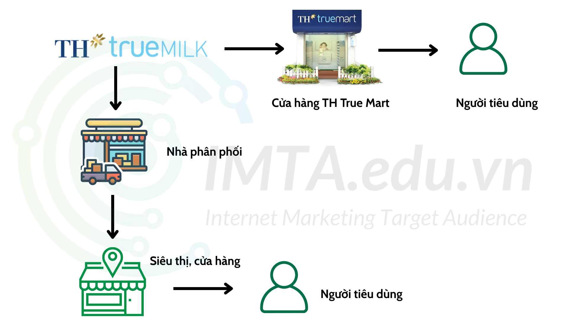 Ví dụ kênh phân phối của TH True Milk