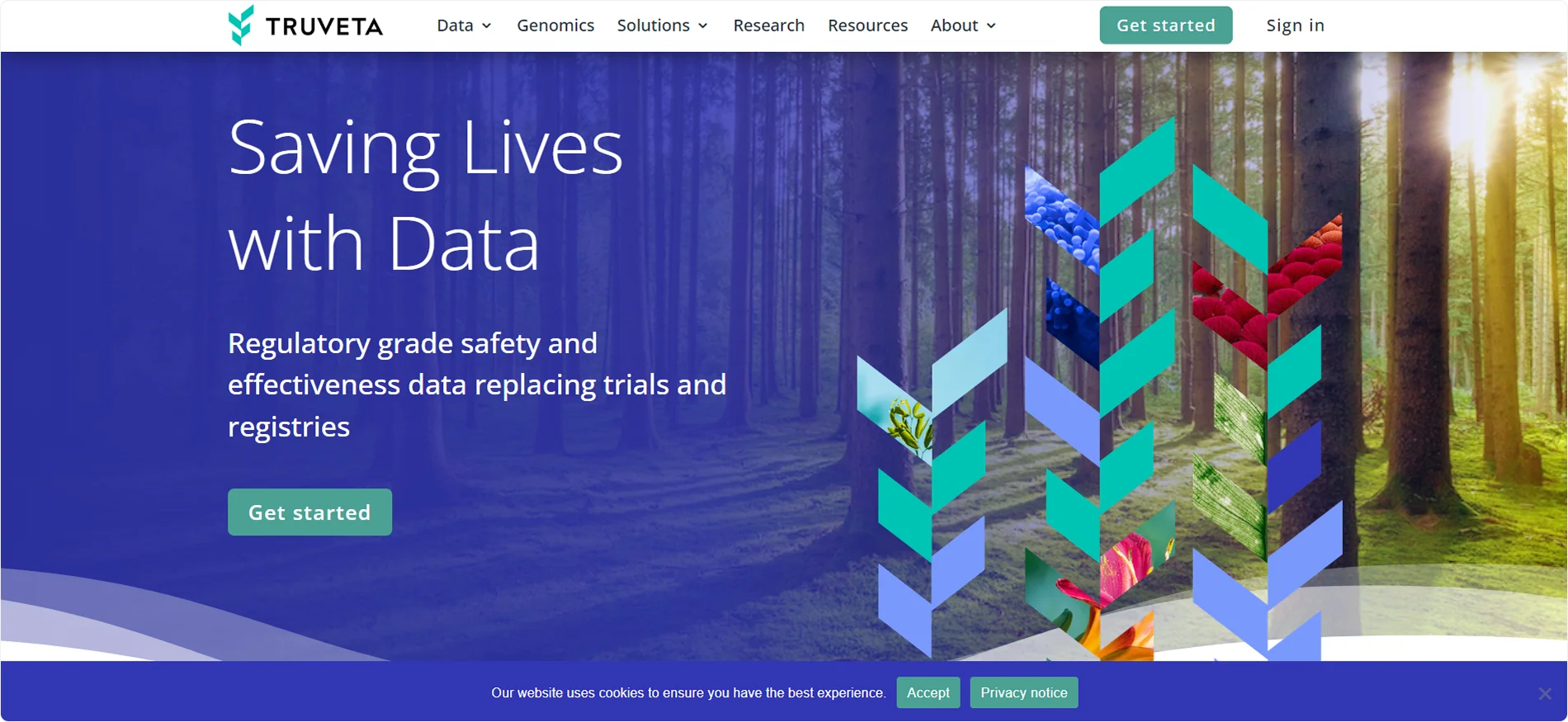 truveta-homepage
