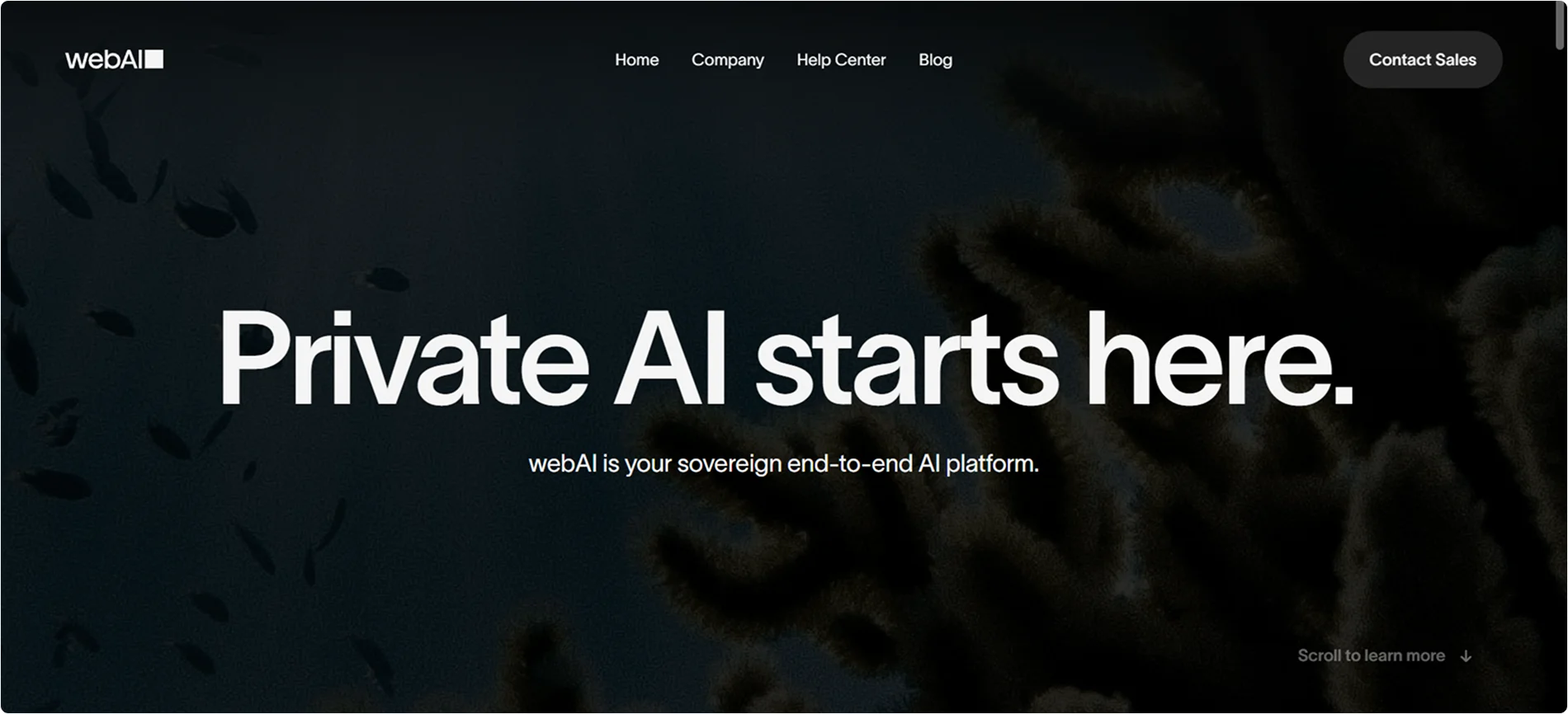webai-homepage