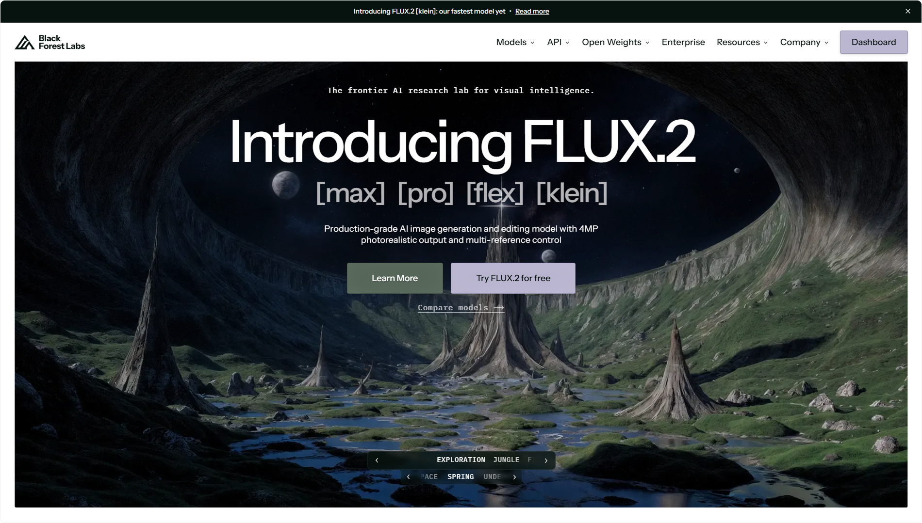 black-forest-labs-homepage