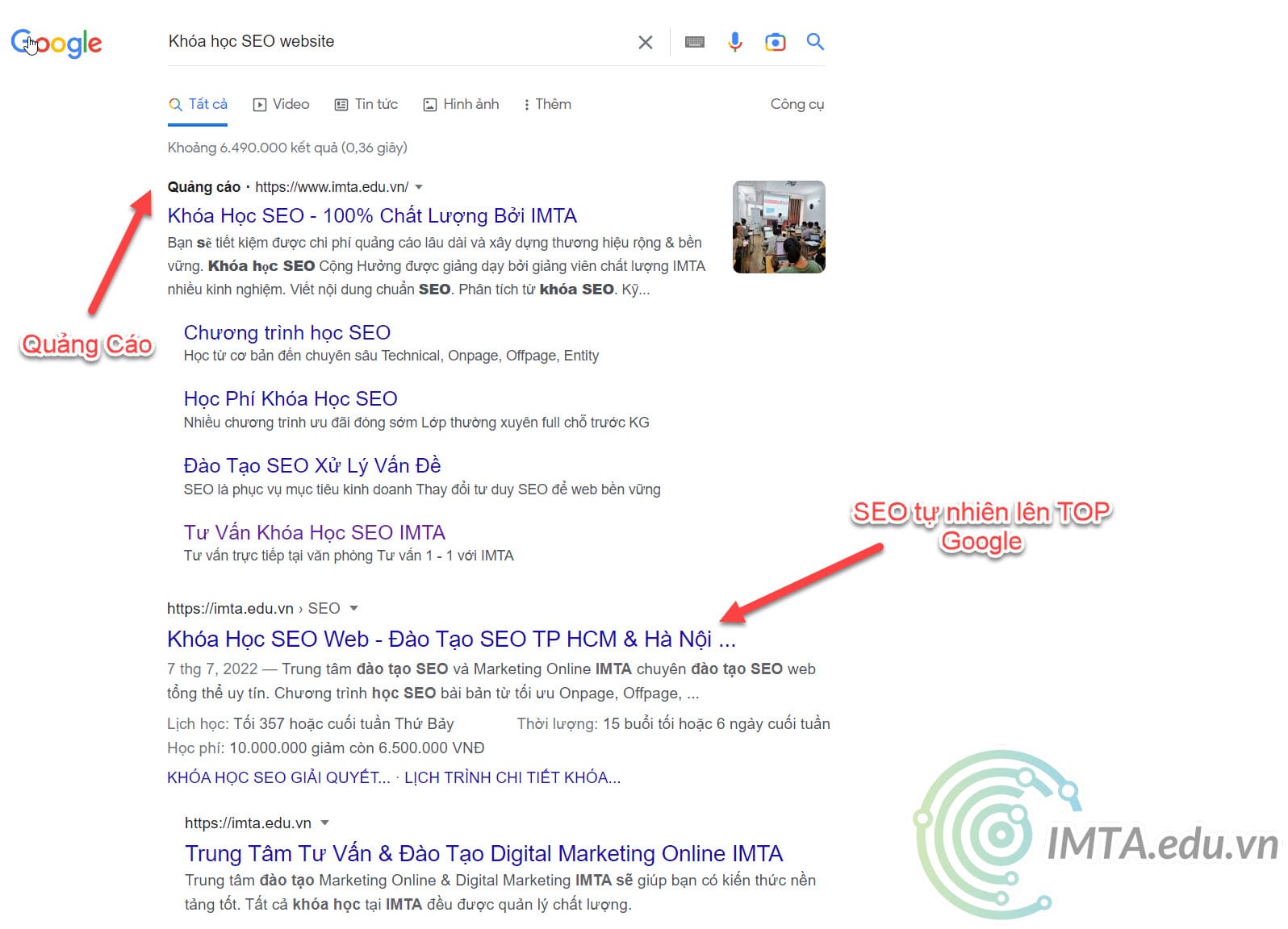 Kết quả SEO và quảng cáo Google Ads